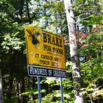 32.BrakeForMoose,NH