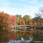 BowBridge,CentralPark