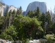 El Capitain And The Merced River